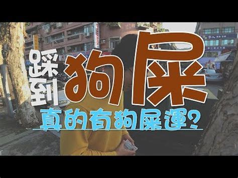 踩到狗大便號碼|【踩到狗大便】踩到狗大便，竟然帶來「旺旺」好運？